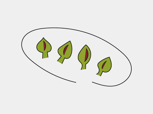 illustration of artichokes on a plate