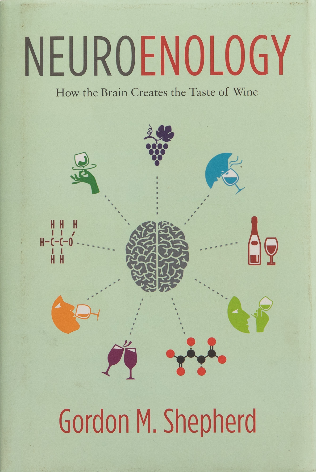Cover of the book Neuroenology: How the Brain Creates the Taste of Wine