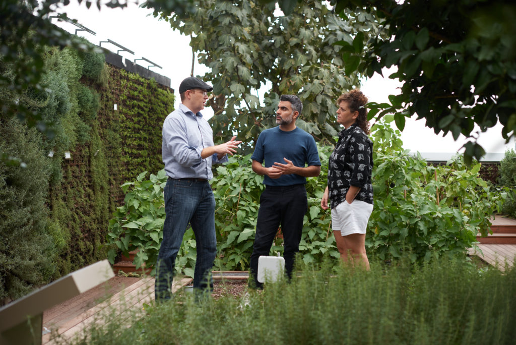 Joshua Karsh, Matan Choufan and Michal Levit on Asif's rooftop farm