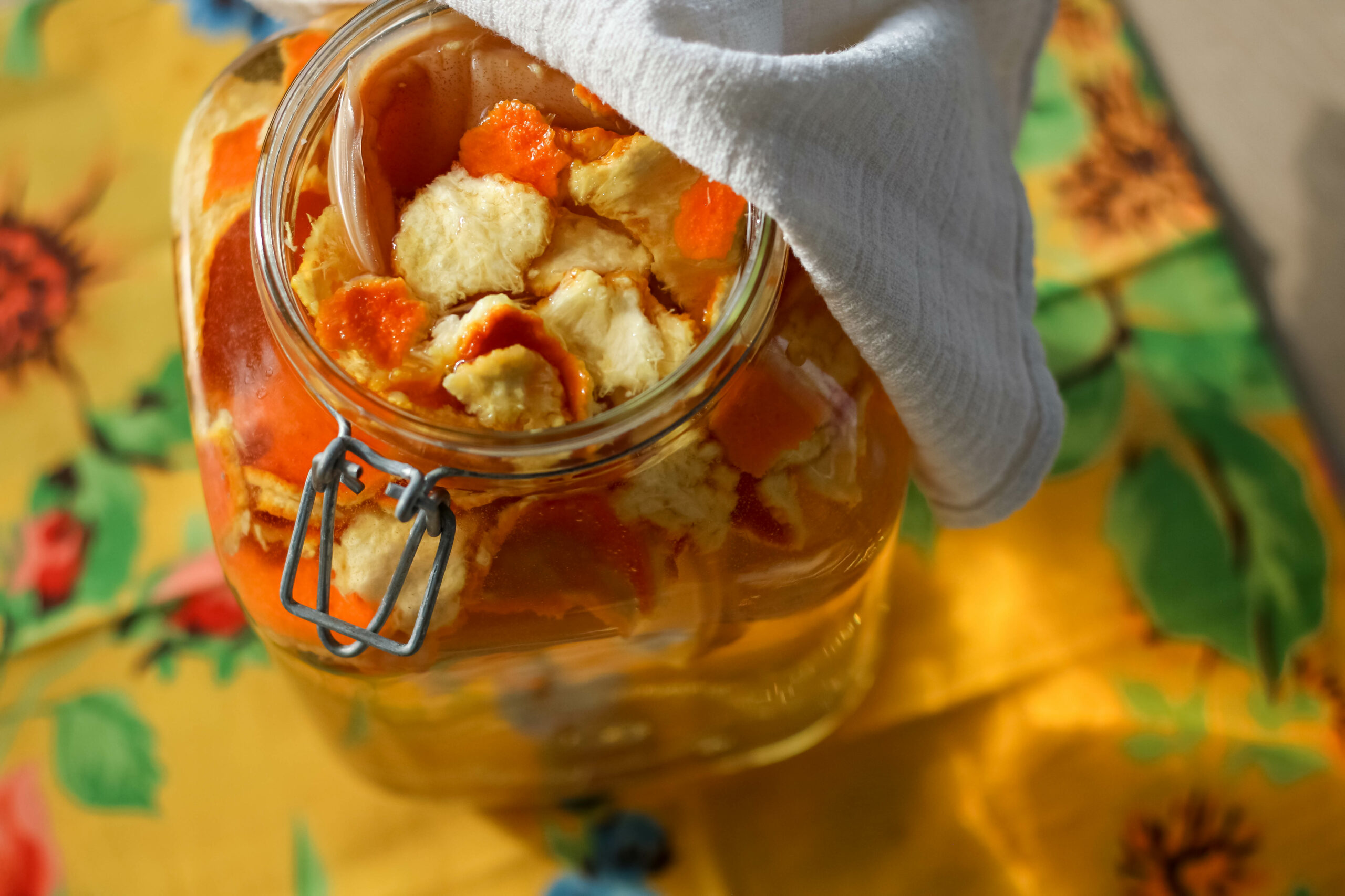 Glass jar with citrus peel and kombucha