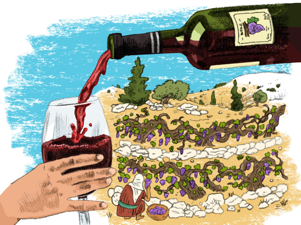 Wine pouring illustration with grape vines in background
