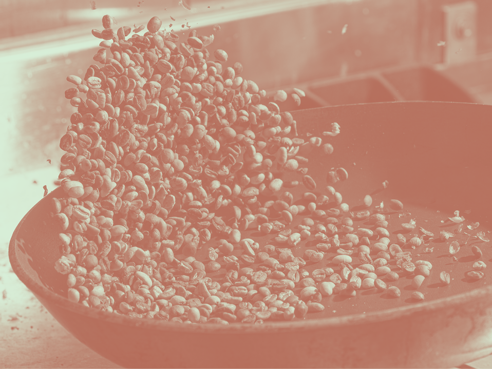 Coffee beans being tossed in large bowl