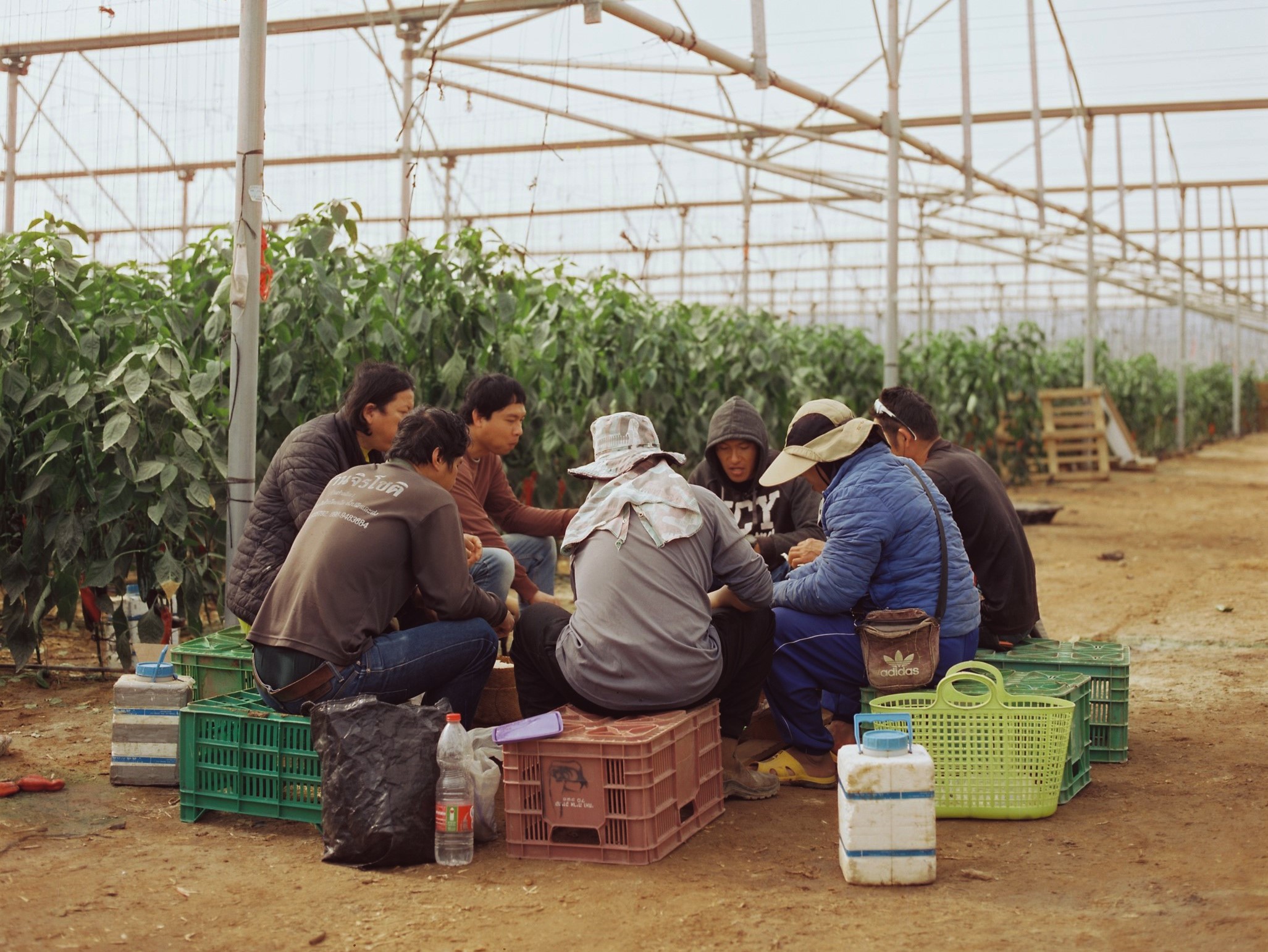 Thai workers sitting on plastic crates in a circle eating lunch next to a field