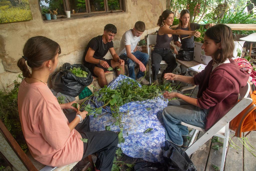 מיזם מאדמה לאדם