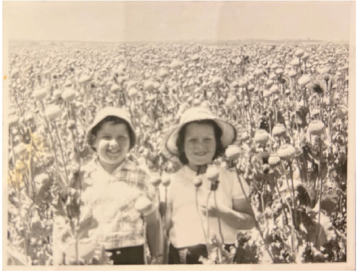 שדה הפרגים בבאר טוביה. בתמונה: עליזה (אימה של ירדן-סוסיד) ואחיה אודי כרמיאל