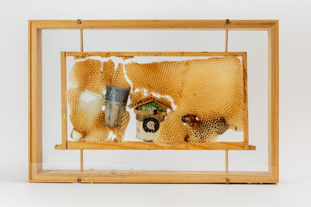 اضطراب انهيار المستعمرة