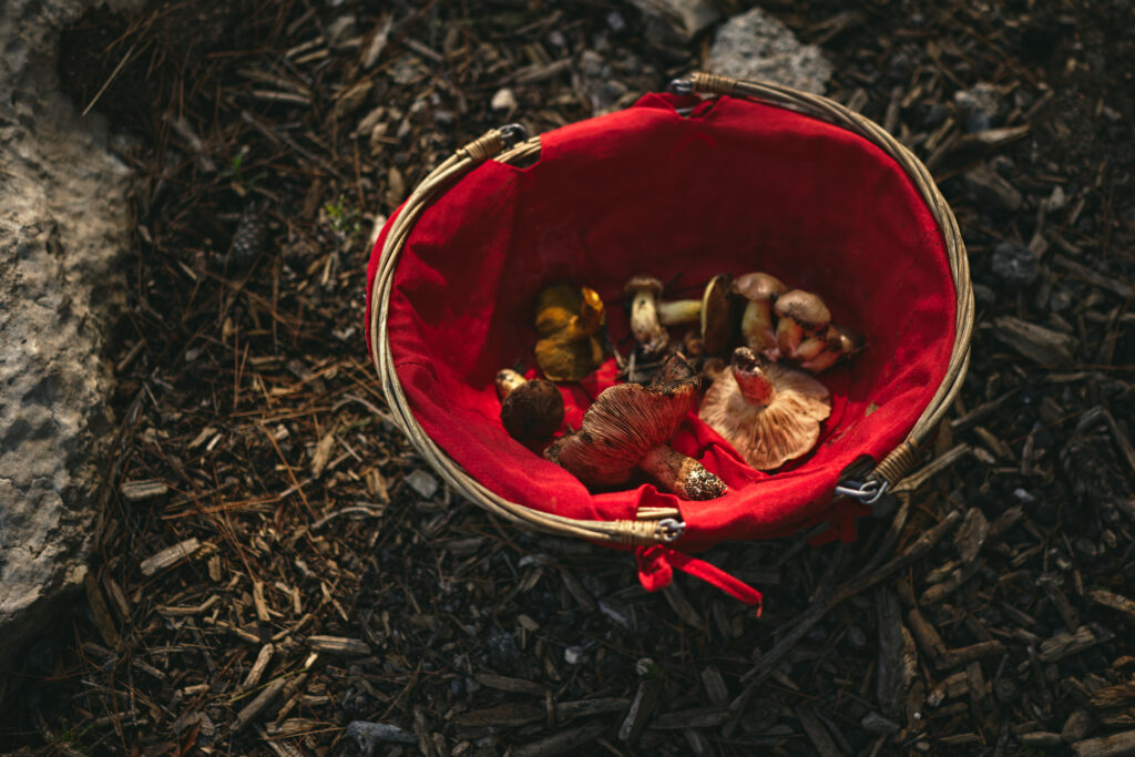 Foraging with a basket